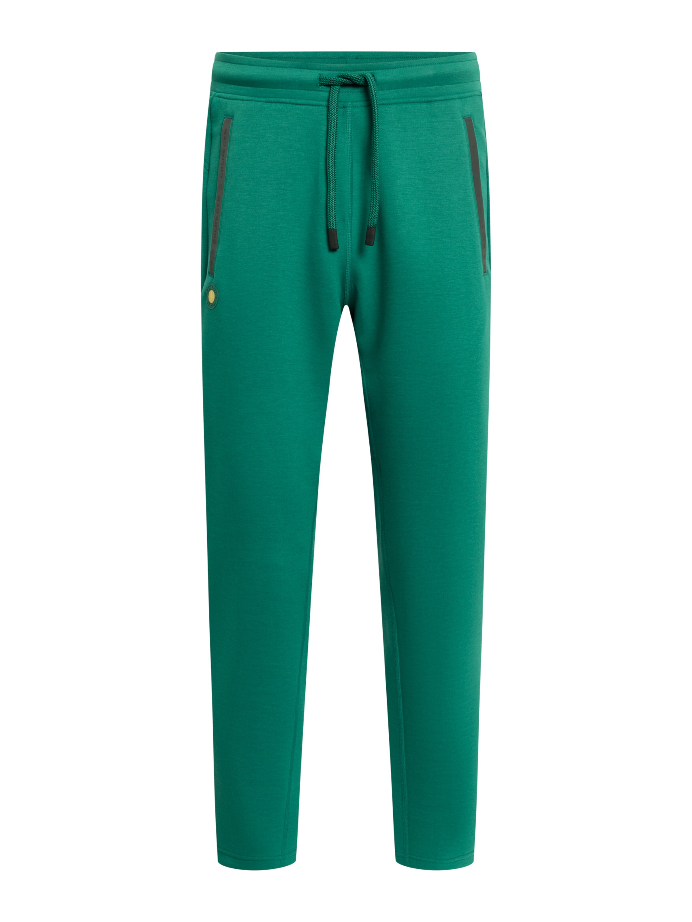 Pantalon de sport 'ERIC' GOLD´S GYM APPAREL en vert : devant