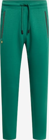 GOLD´S GYM APPAREL Workout Pants 'ERIC' in Green: front