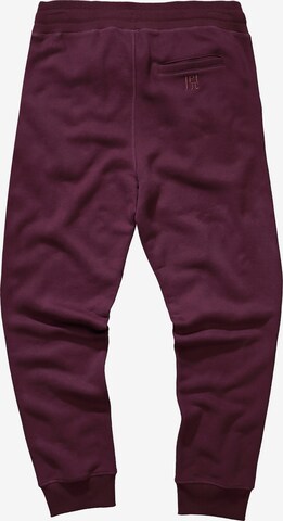 JAY-PI Tapered Broek in Lila