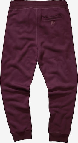 JAY-PI Tapered Sweathose in Lila