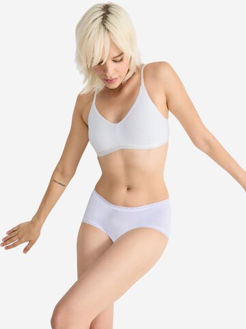 SLOGGI Slip '24/7 Cotton Lace' in Mixed colours