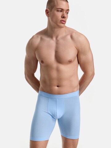 Phil & Co. Berlin - Calzoncillo boxer ' Long Boxer Briefs ' en azul