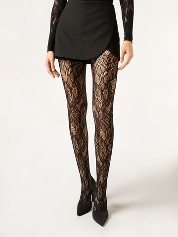 CALZEDONIA Strumpfhose in Schwarz