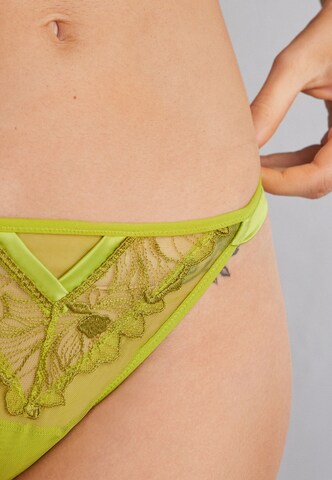 INTIMISSIMI Thong 'SWEET LIKE SUGAR' in Green