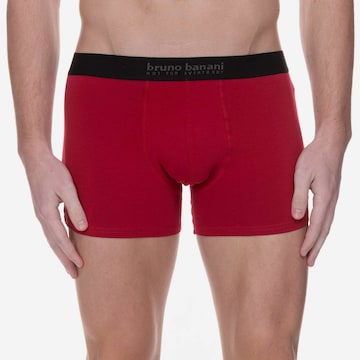 BRUNO BANANI Boxershorts in Gemengde kleuren: voorkant