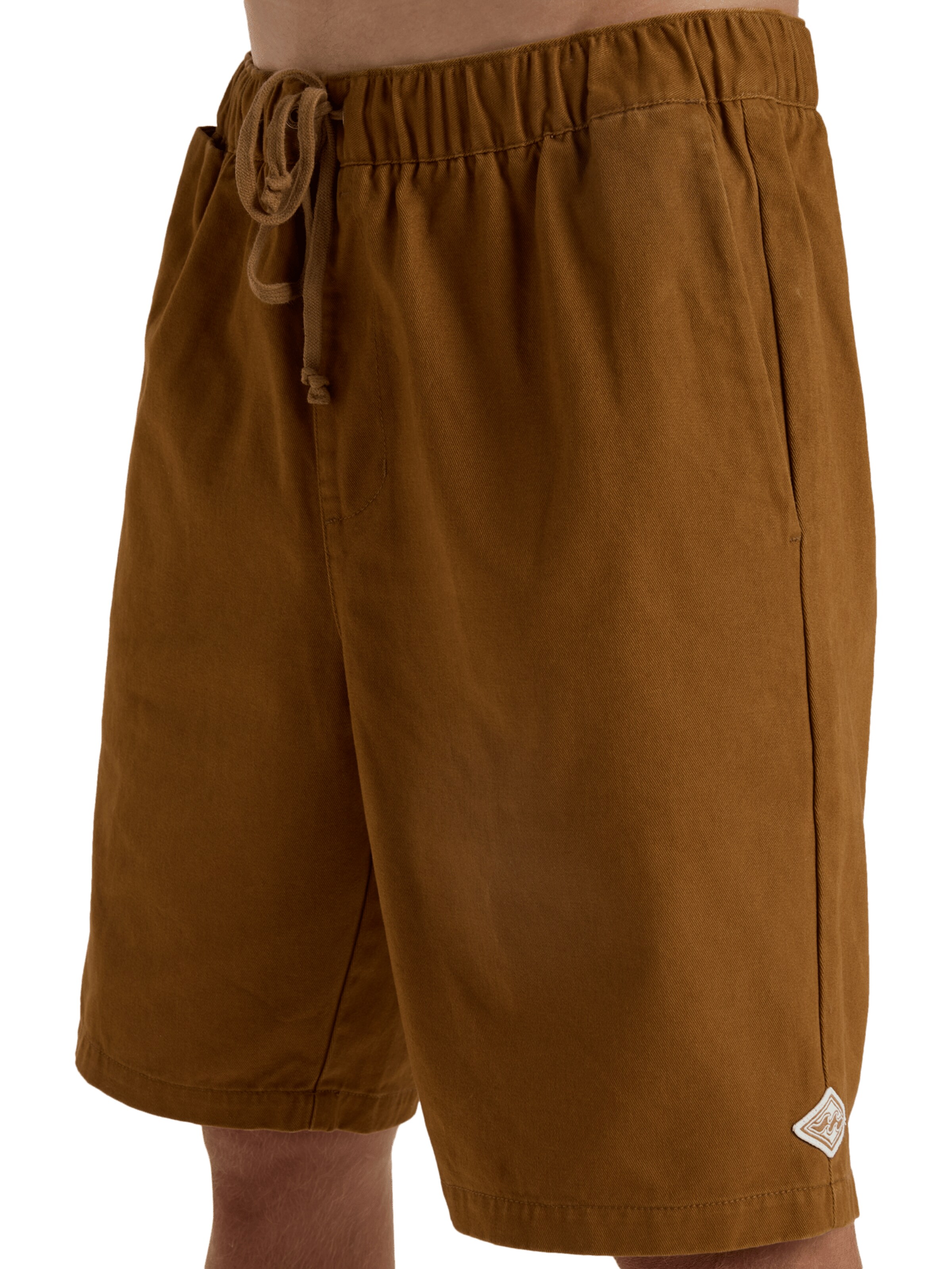 BILLABONG Regular Shorts 'Larry 20' in Braun