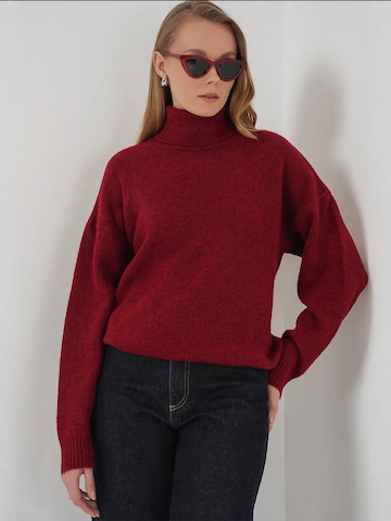 Bigdart Trui in Rood