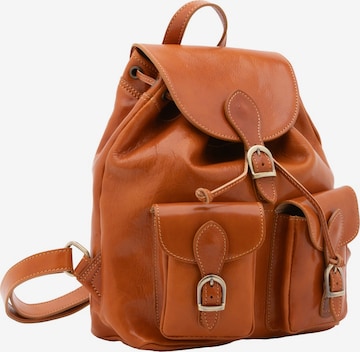 Viola Castellani Rucksack in Braun: Vorderseite