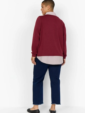Wasabi Concept Pullover i rød