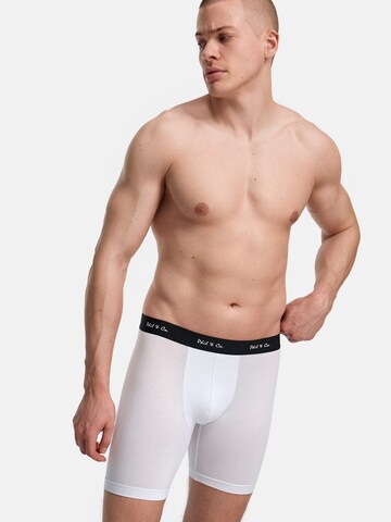 Phil & Co. Berlin - Calzoncillo boxer ' Long Boxer Briefs' en Mezcla de colores