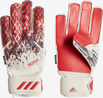 Gants de sport ADIDAS PERFORMANCE en blanc : devant