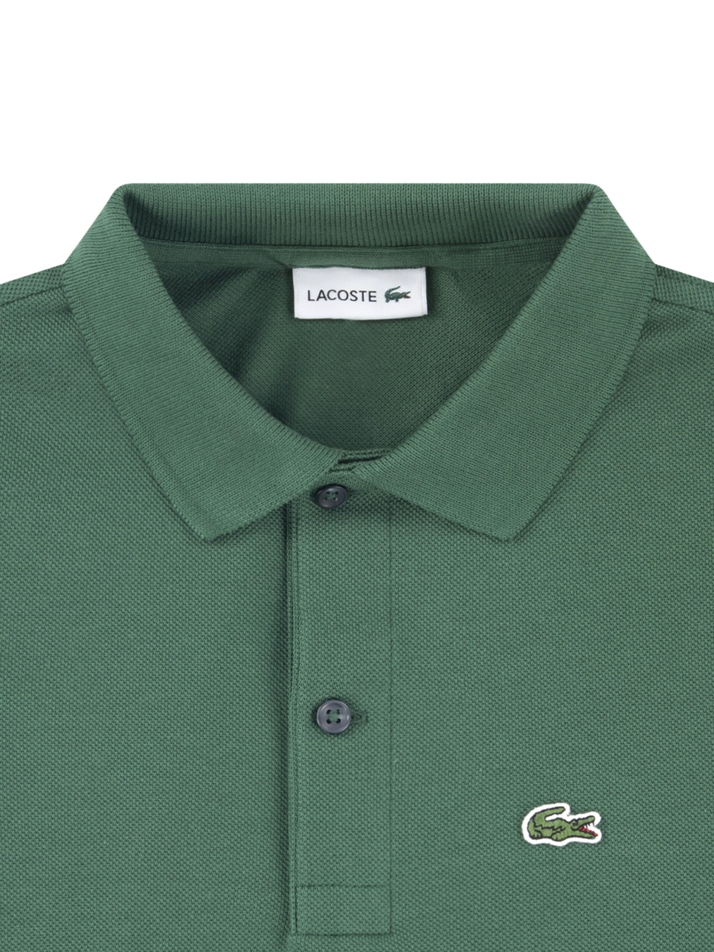 LACOSTE Shirts i grøn