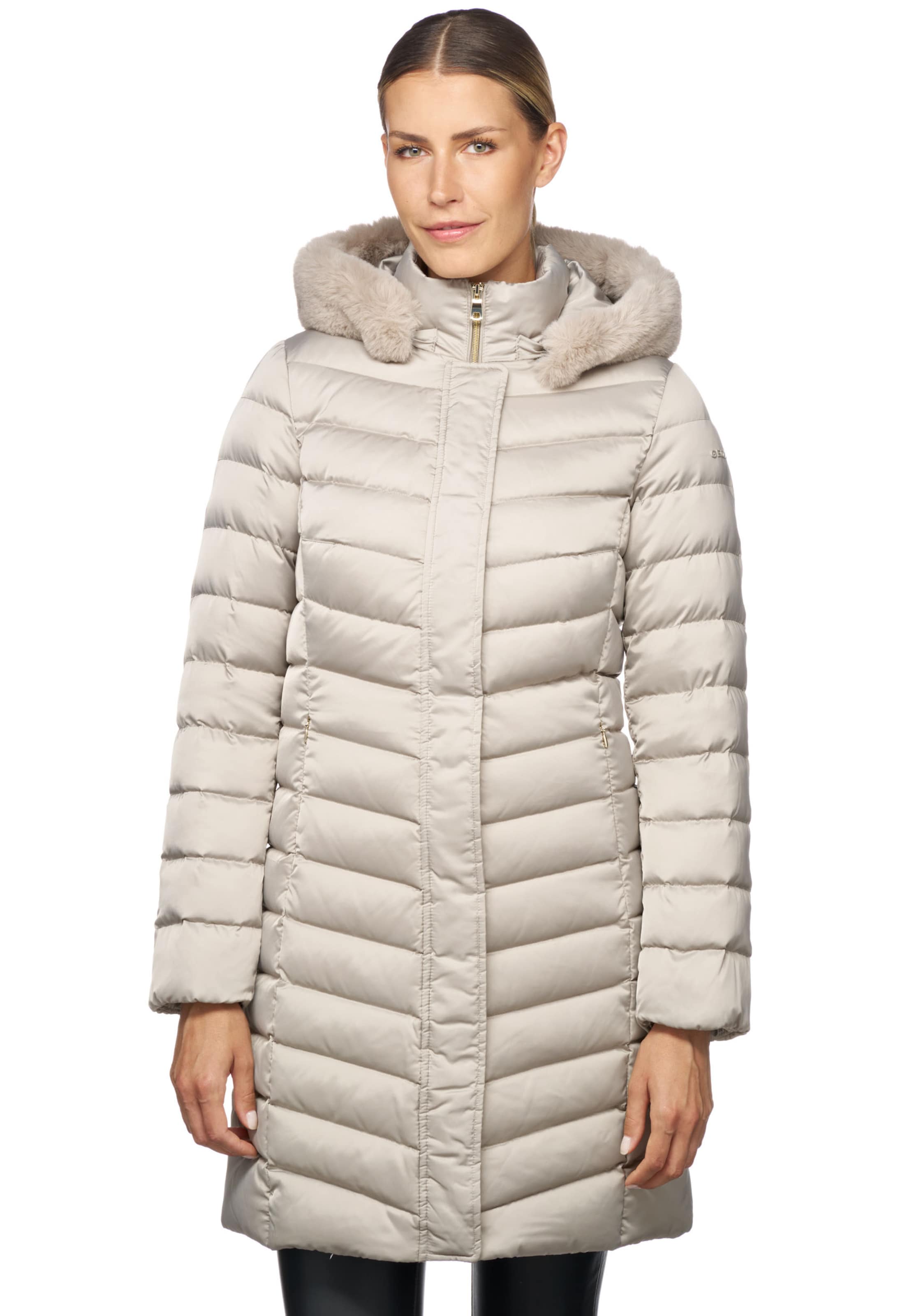 GEOX Winter Coat in Grey: front