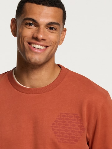Sweat-shirt Shiwi en marron