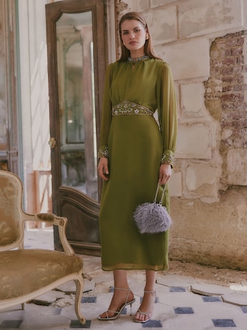 love & roses - Vestido en verde: frente