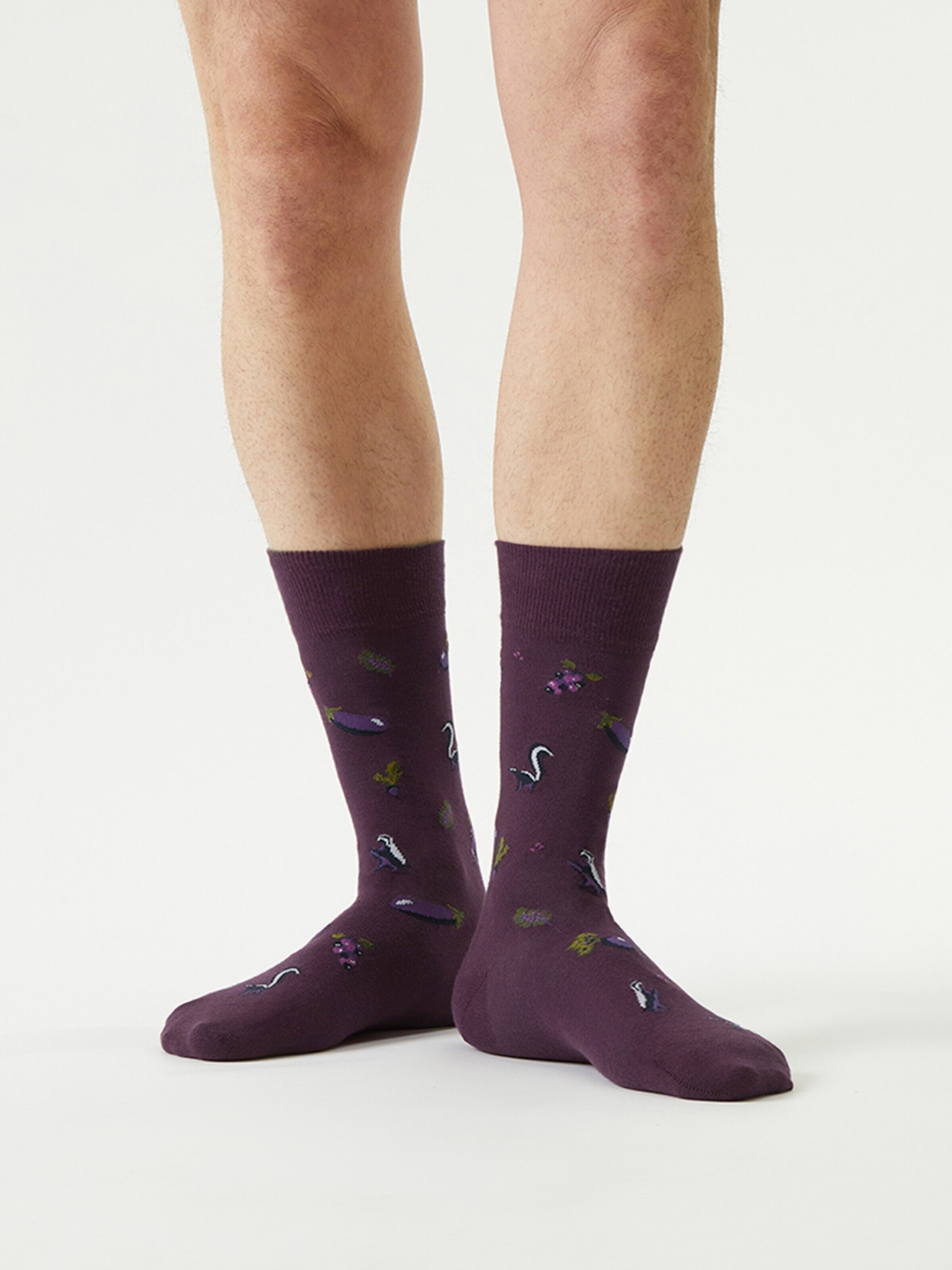 Von Jungfeld Socks 'Herbst ICONS' in Purple: front