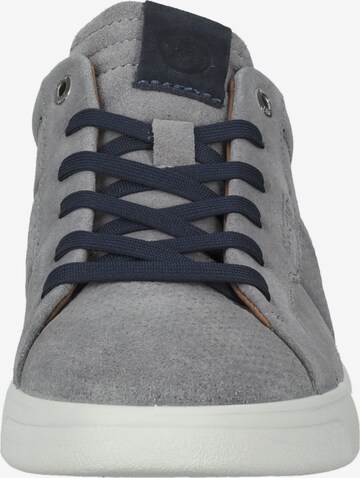 SALAMANDER Sneakers in Grey
