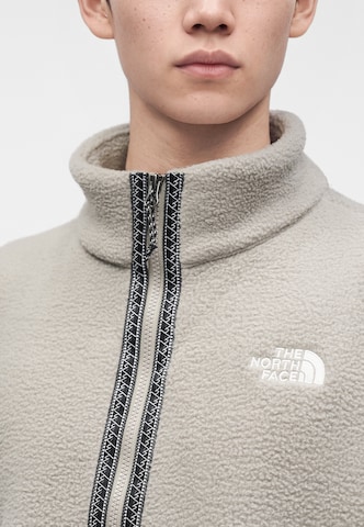 THE NORTH FACE Tröja 'FLEESKI' i grå: framsida