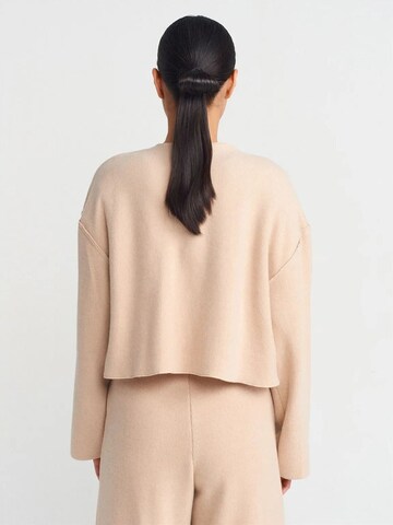 Dilvin Strickjacke 'Strickjacken'‌‌ in Beige