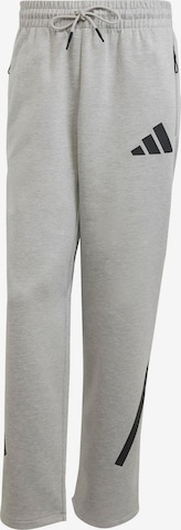 ADIDAS SPORTSWEAR Спортивные штаны 'Z.N.E.' в Серый: спереди