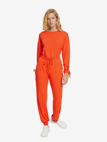 ESPRIT Tapered Hose in Orange