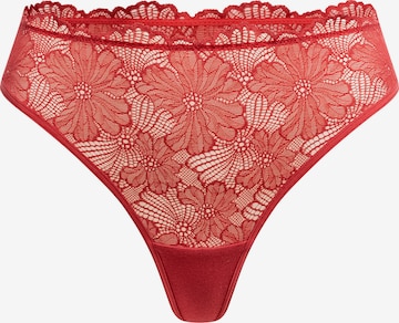 Erlich Textil String in Rot: Vorderseite