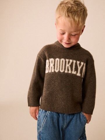 Next Trui in Bruin