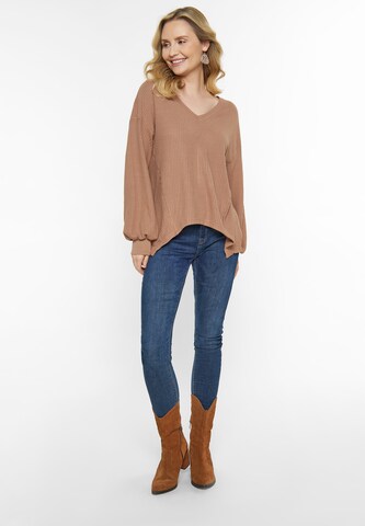 Pull-over usha BLUE LABEL en marron