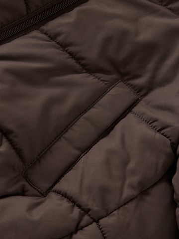NAME IT Winter Jacket 'Steppjacke Winterjacke Nmfforty' in Brown