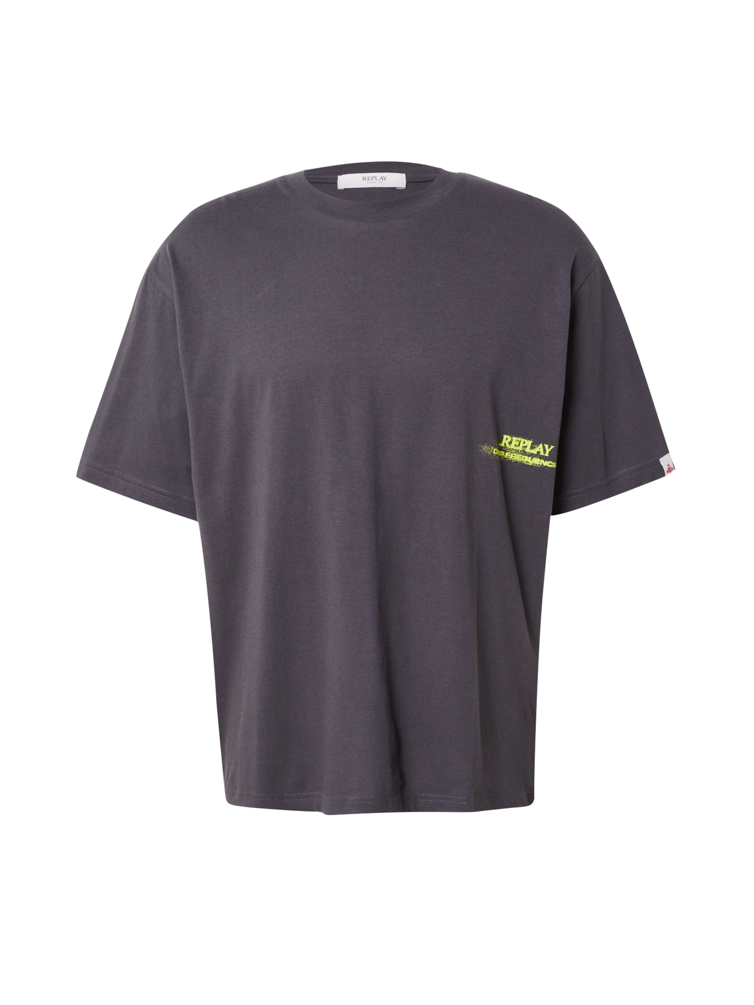 Maglietta di REPLAY in grigio: frontale