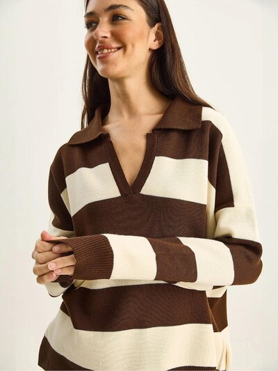 Bianco Lucci Pullover em castanho / branco, Vista do artigo