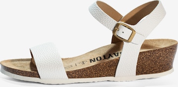 balta Bayton Sandalai 'WODONGA ': priekis