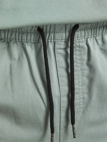 JACK & JONES Tapered Hose 'Gordon Lane' in Grün