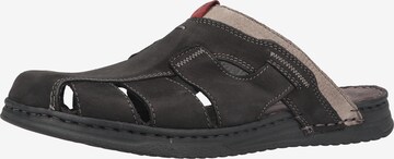 ROHDE Mules in Black: front