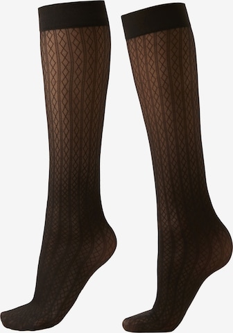 CALZEDONIA Socks in Black: front