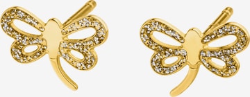 Nana Kay Ohrring in Gold: Vorderseite