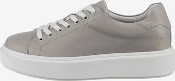 Apple of Eden Sneakers in Grey