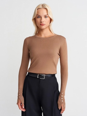 DilvinPulover 'Pullover' - smeđa boja: prednji dio