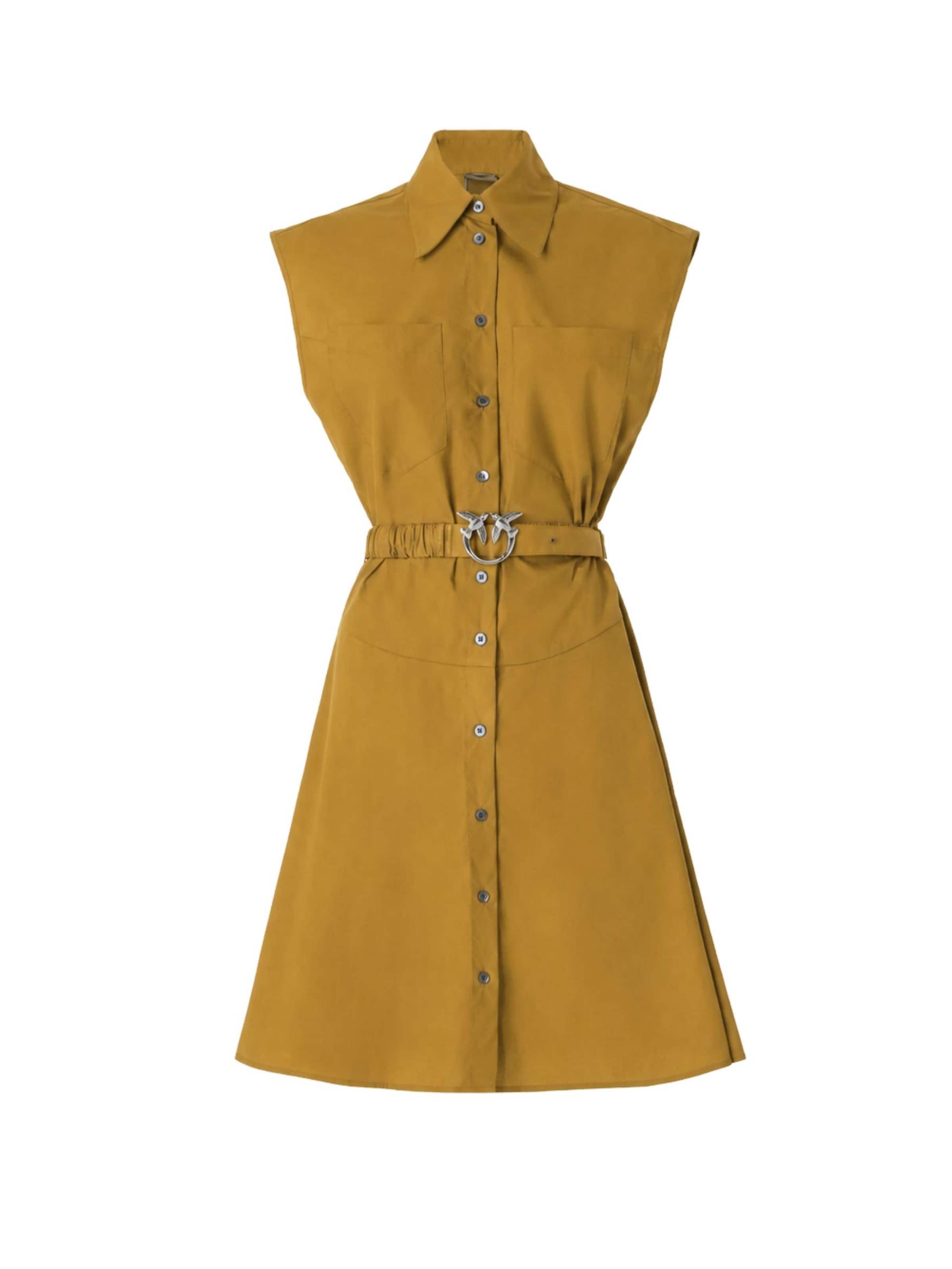 PINKO Kleid 'PINKO ANACETA ABITO POPELINE ABITO'‌‌‌‌ in Braun: Vorderseite