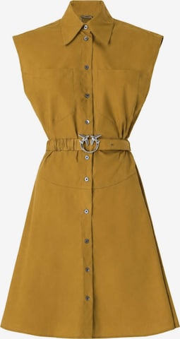 PINKO Kleid 'PINKO ANACETA ABITO POPELINE ABITO' in Braun: Vorderseite