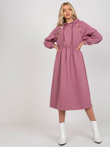 Madnezz House Kleid in Pink: Vorderseite