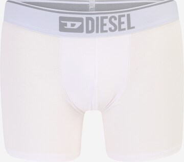 DIESEL - Calzoncillo boxer en blanco