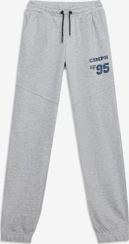 Tapered Pantaloni sportivi di 4F Junior in grigio: frontale