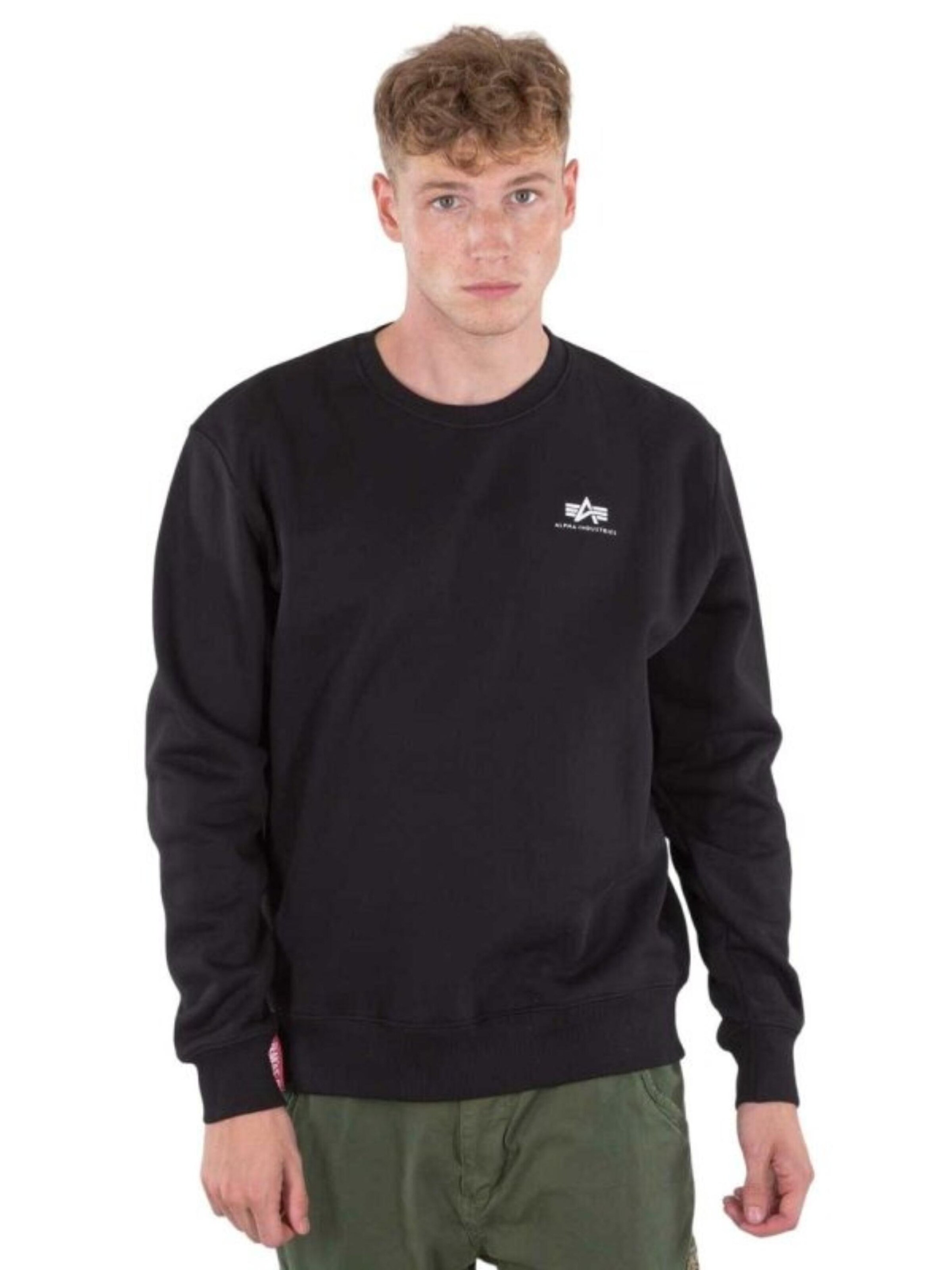 ALPHA INDUSTRIES Sweatshirt 'Basic' in Black