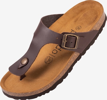 Palado T-Bar Sandals 'Kos' in Brown: front