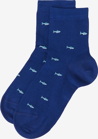 CALZEDONIA Socken in Blau: predná strana
