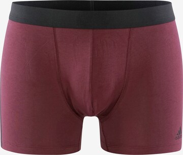 ADIDAS SPORTSWEAR Athletic Underwear ' BASIC ' in Mixed colors