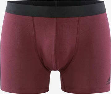 Pantaloncini intimi sportivi ' BASIC ' di ADIDAS SPORTSWEAR in colori misti