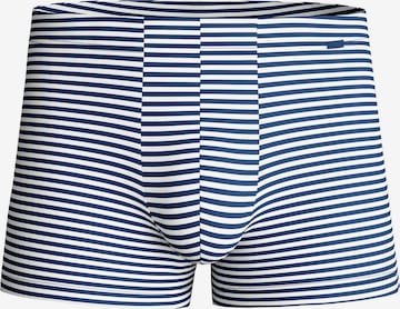 CALIDA Boxer shorts 'Grafic Cotton' in Grey: front