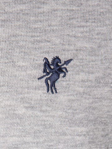 DENIM CULTURE - Sweatshirt 'Alcinoo' em cinzento